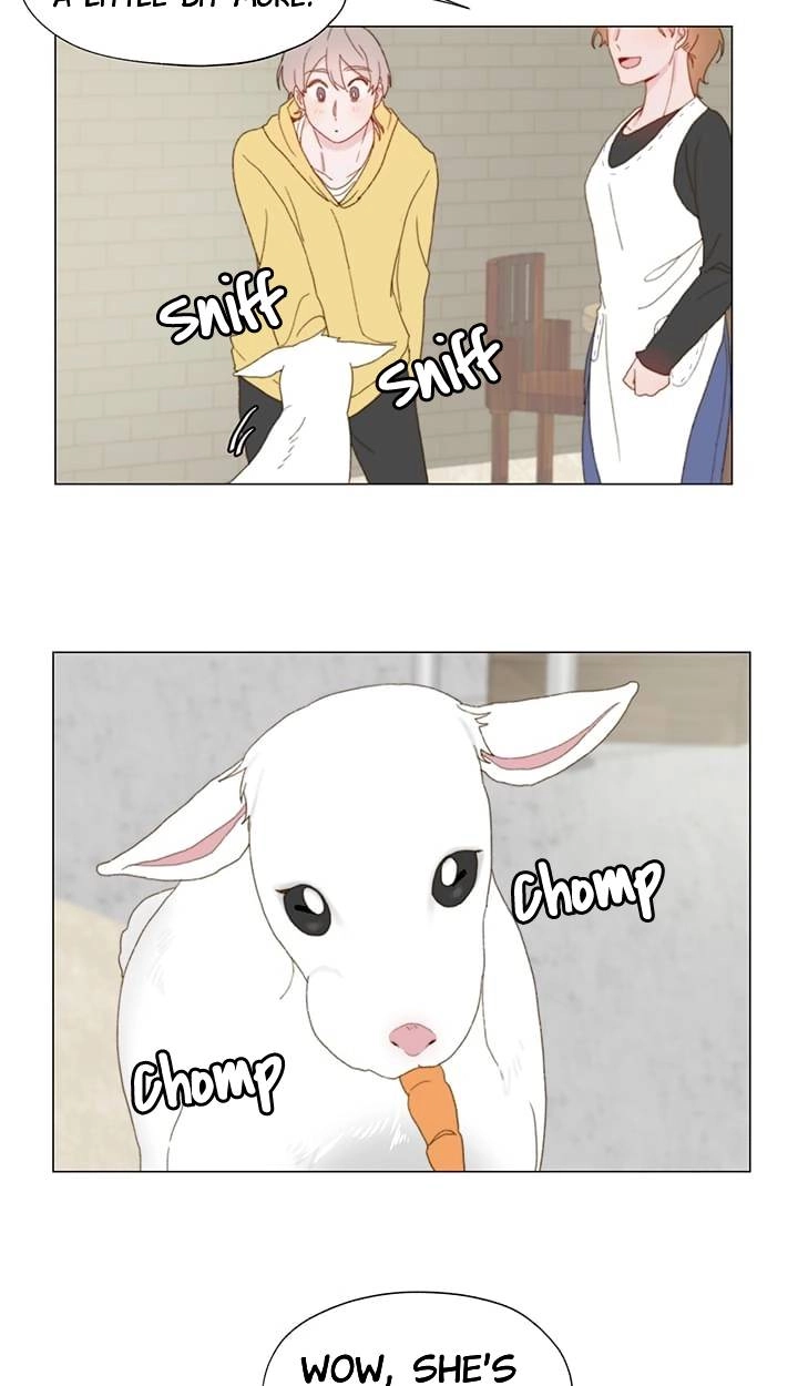 Read Egoism chapter 15 image 16 on Lezhin