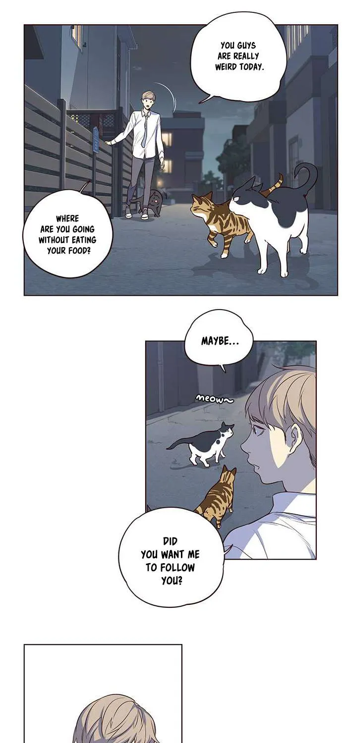 Read Eleceed chapter 1.1 image 30 on Lezhin