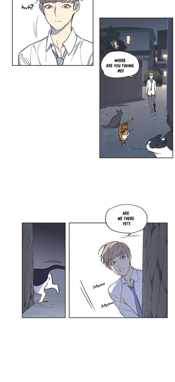 Read Eleceed chapter 1.1 image 31 on Lezhin