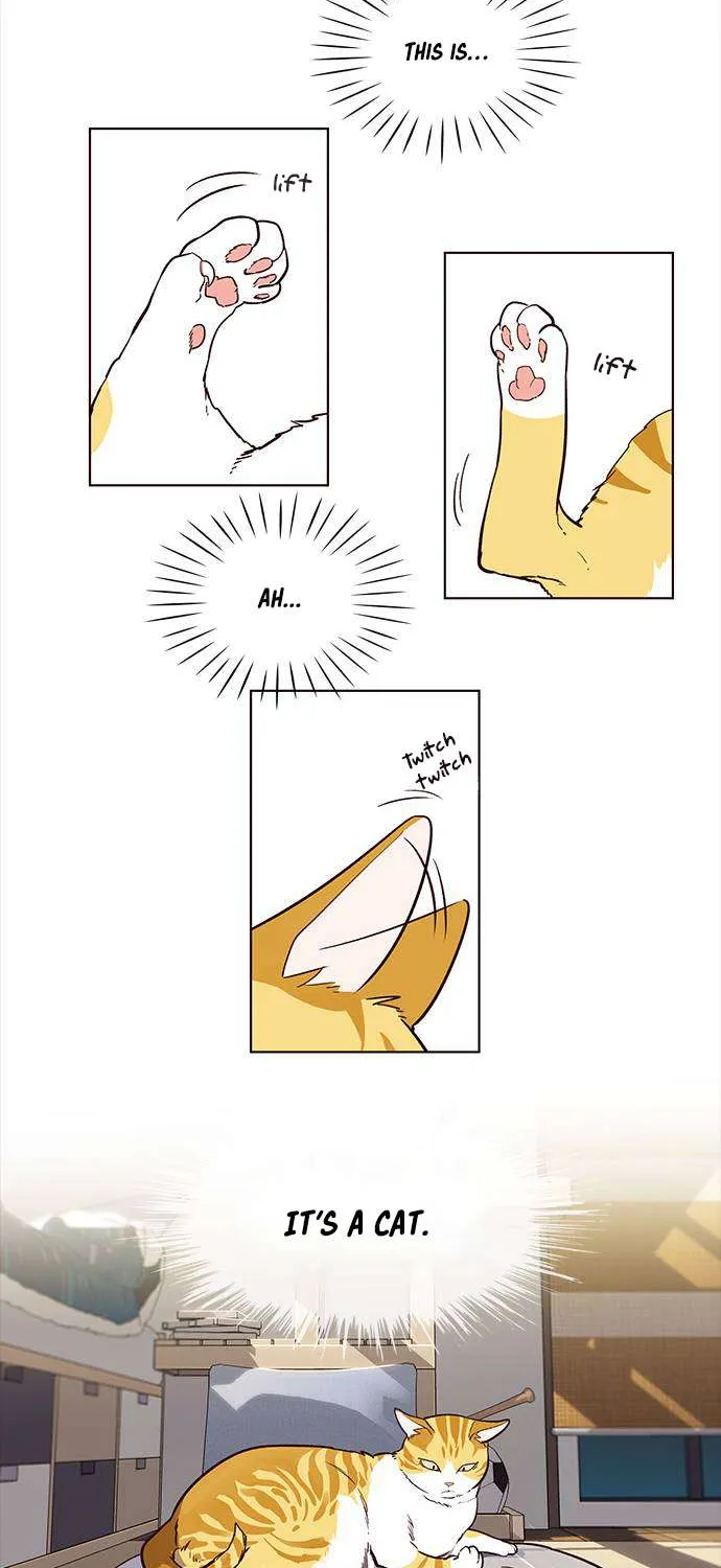 Read Eleceed chapter 1.1 image 35 on Lezhin