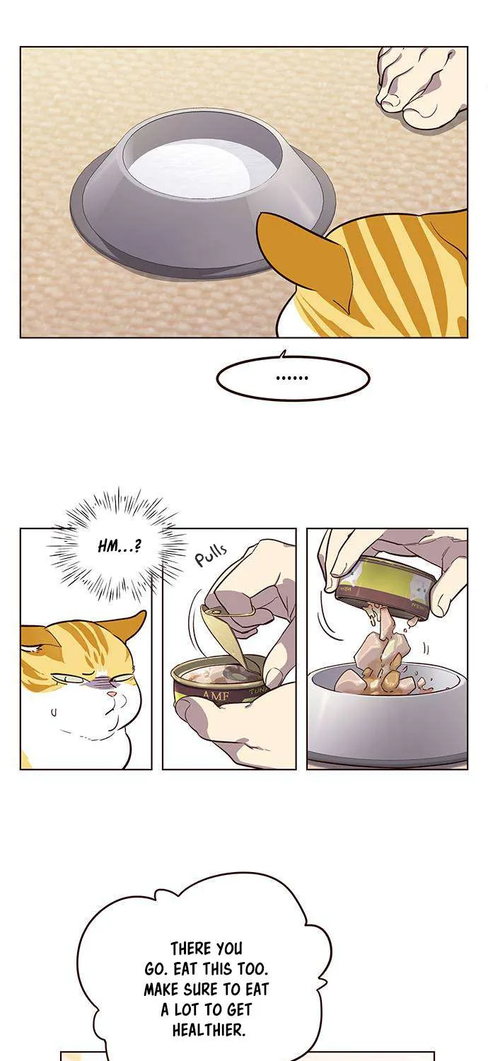 Read Eleceed chapter 1.1 image 45 on Lezhin