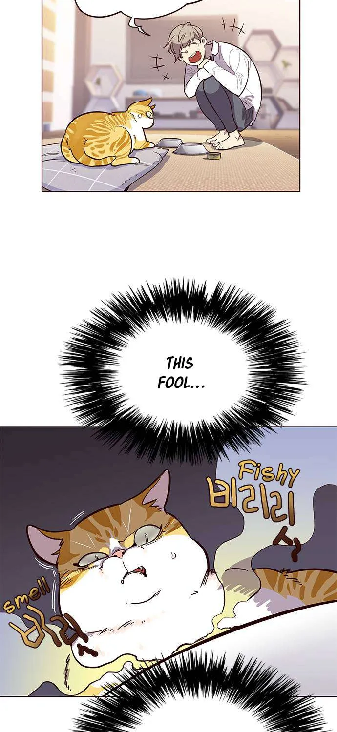 Read Eleceed chapter 1.1 image 46 on Lezhin