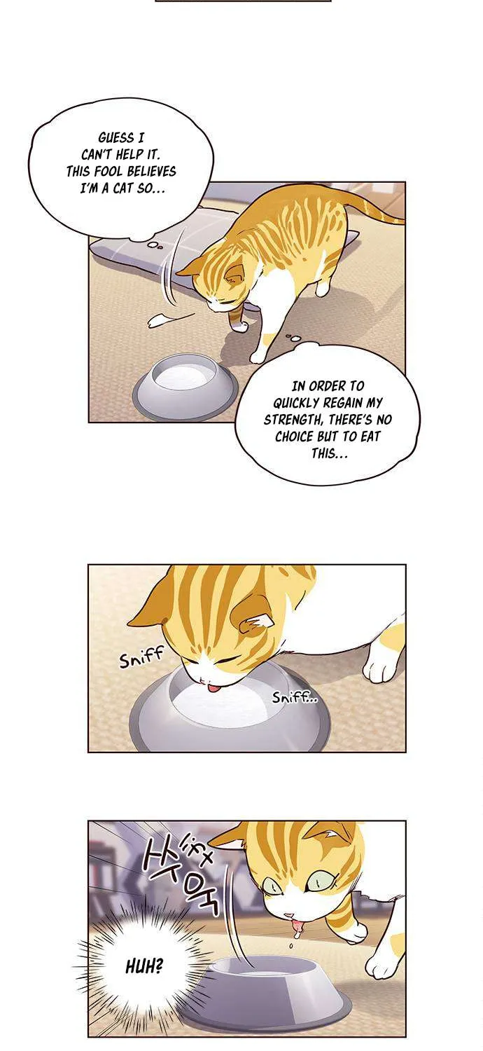 Read Eleceed chapter 1.1 image 48 on Lezhin