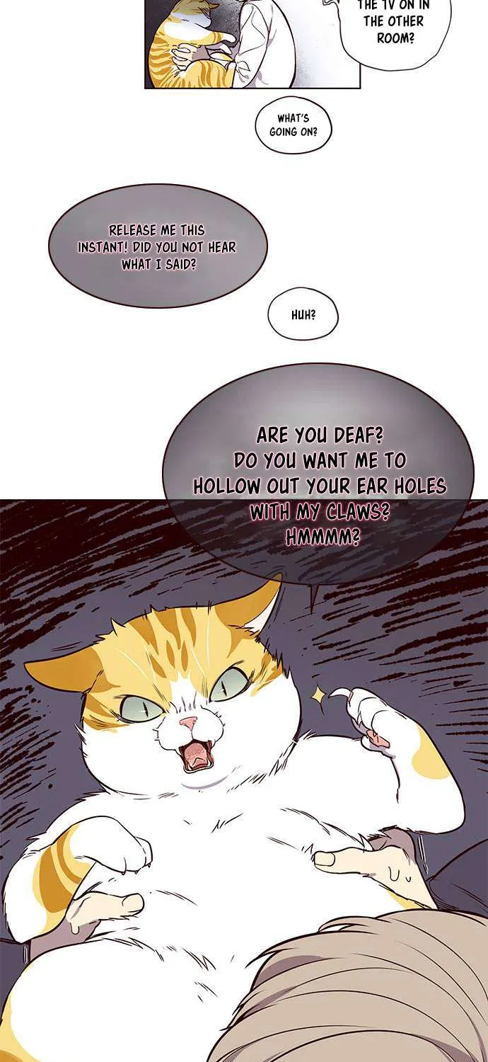 Read Eleceed chapter 1.1 image 51 on Lezhin