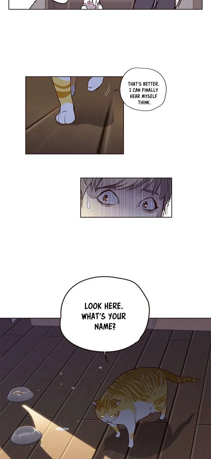 Read Eleceed chapter 1.1 image 54 on Lezhin