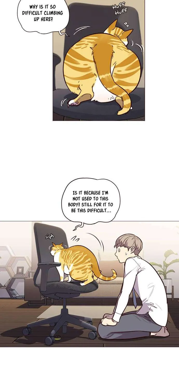 Read Eleceed chapter 1.1 image 59 on Lezhin