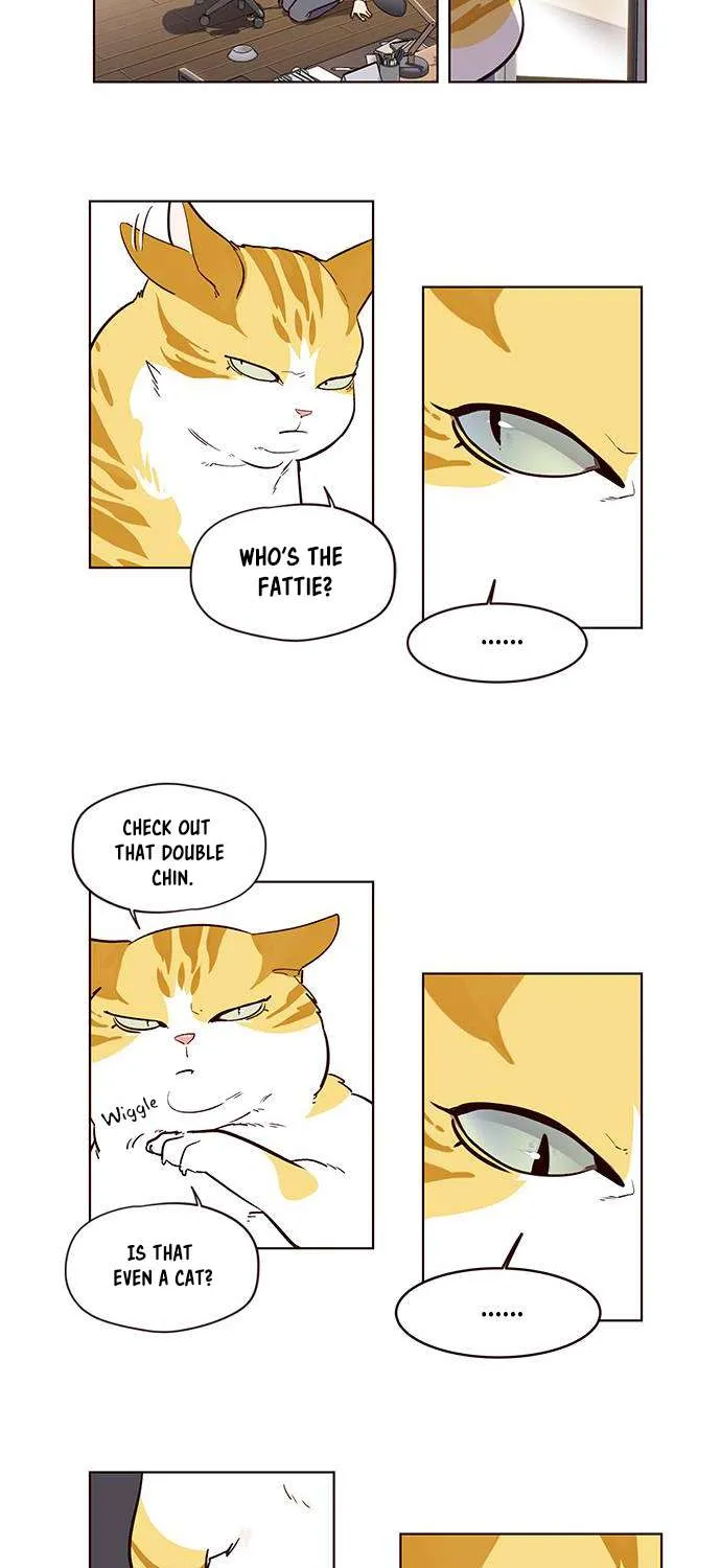 Read Eleceed chapter 1.1 image 62 on Lezhin