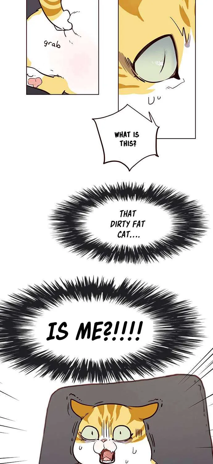 Read Eleceed chapter 1.1 image 63 on Lezhin