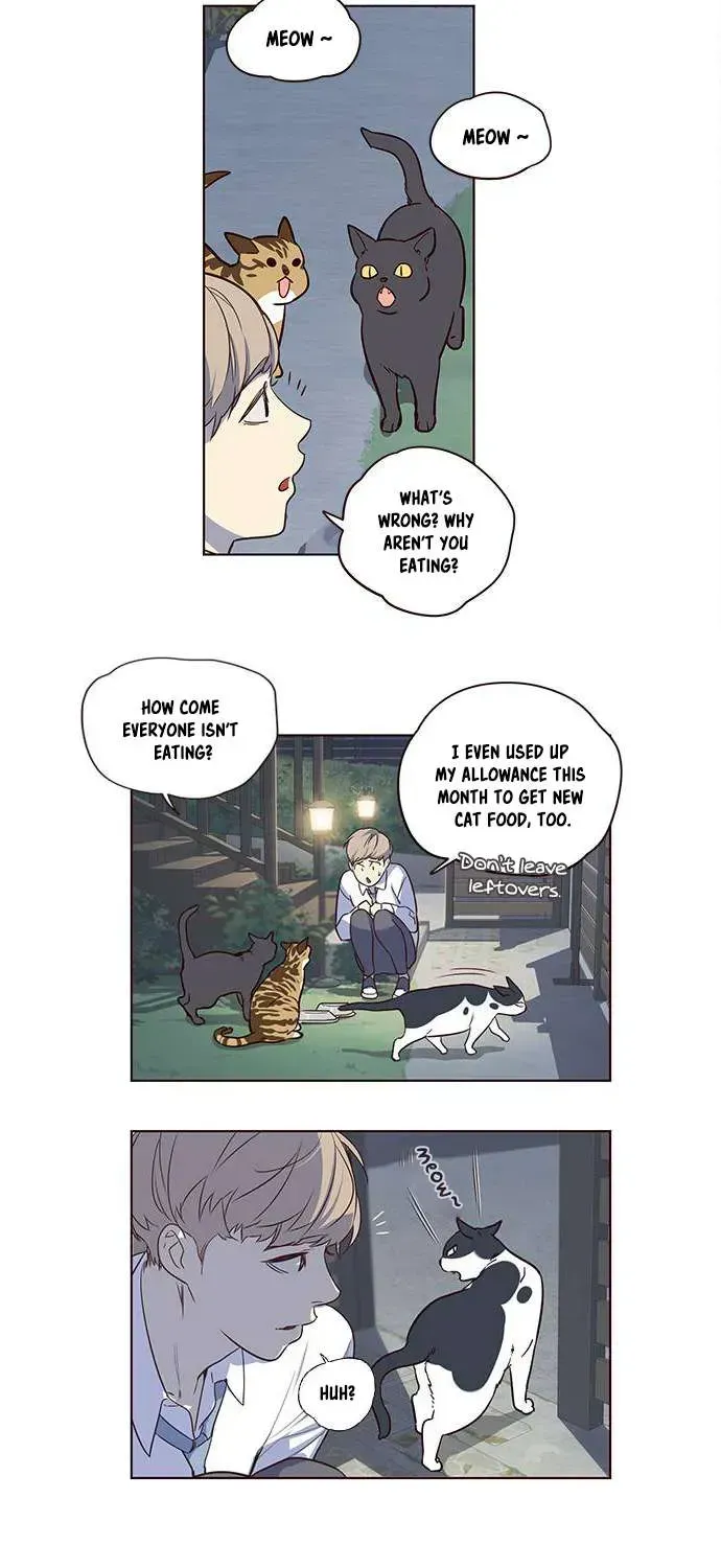 Read Eleceed chapter 1.2 image 29 on Lezhin