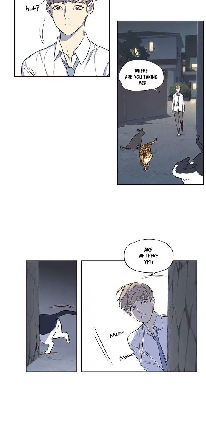 Read Eleceed chapter 1.2 image 31 on Lezhin
