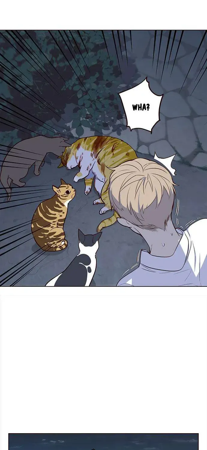 Read Eleceed chapter 1.2 image 32 on Lezhin