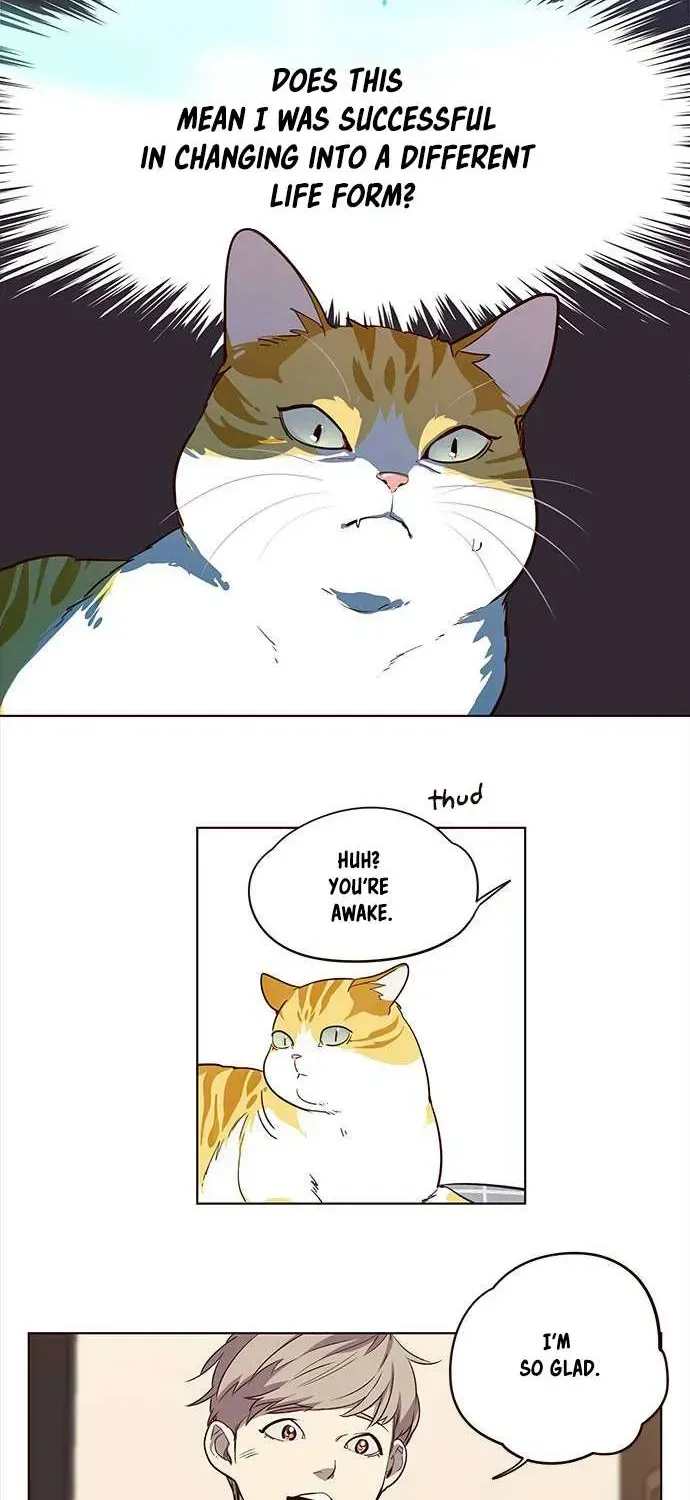 Read Eleceed chapter 1.2 image 39 on Lezhin