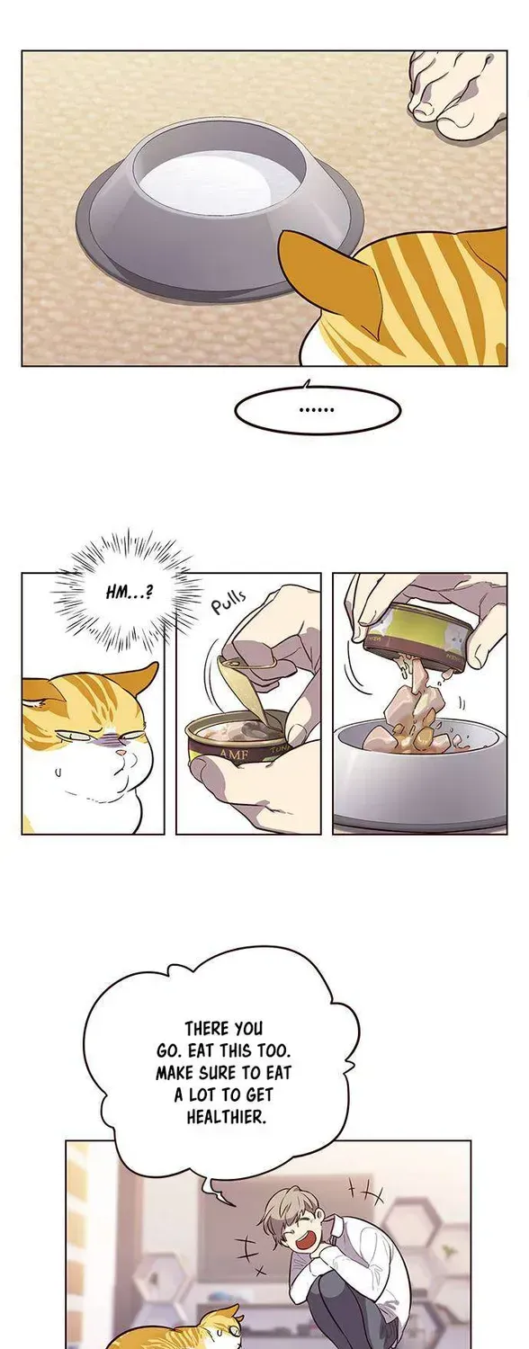 Read Eleceed chapter 1.2 image 45 on Lezhin