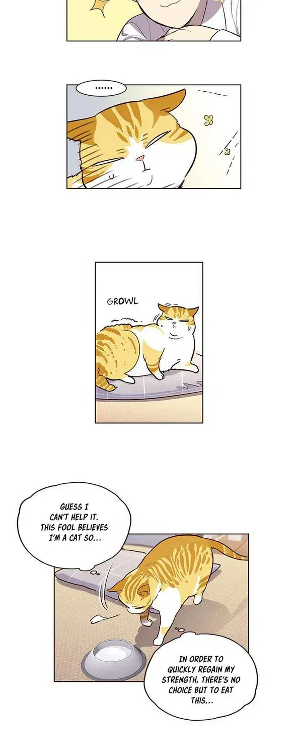 Read Eleceed chapter 1.2 image 47 on Lezhin