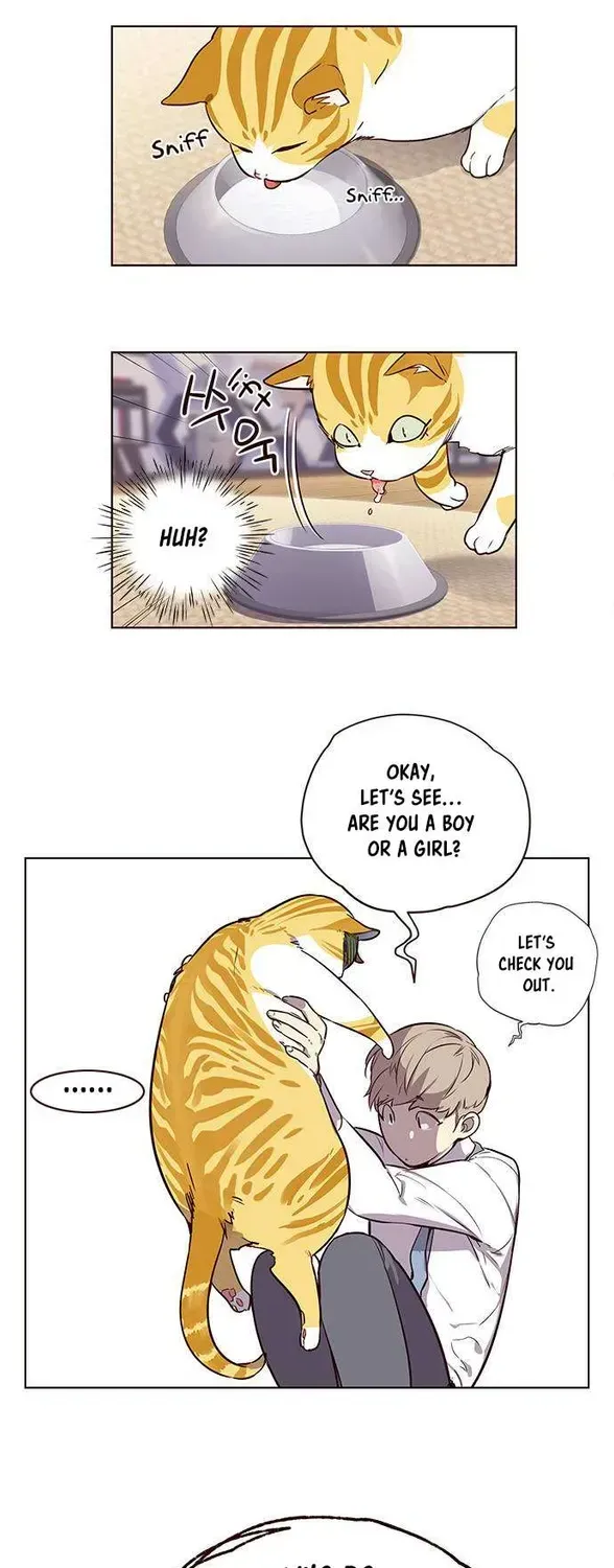 Read Eleceed chapter 1.2 image 48 on Lezhin
