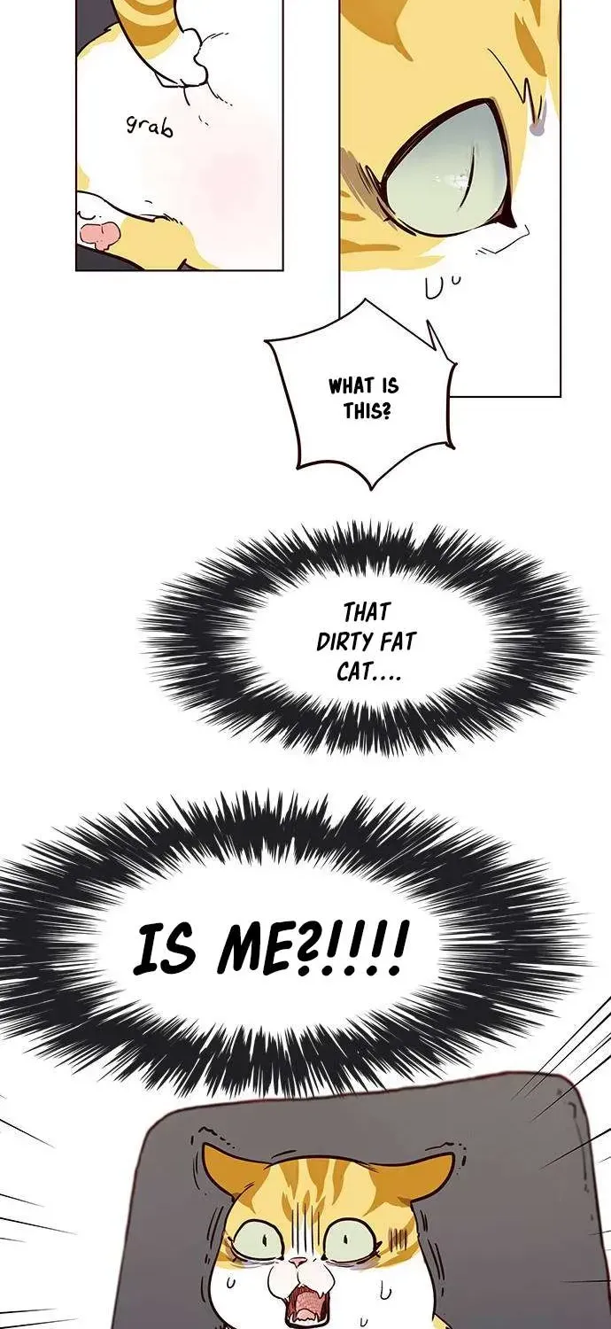 Read Eleceed chapter 1.2 image 61 on Lezhin