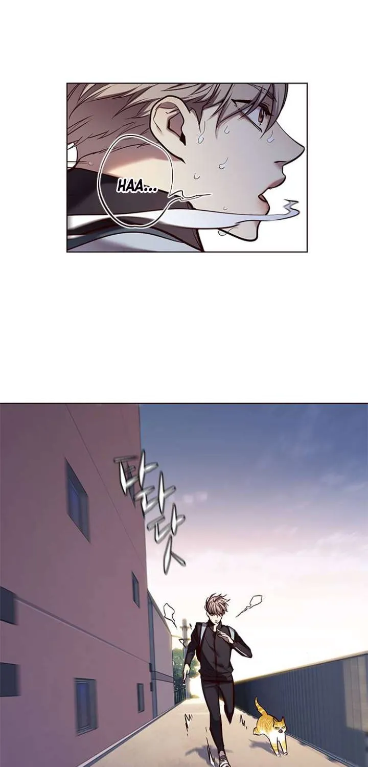 Read Eleceed chapter 117.1 image 2 on Lezhin