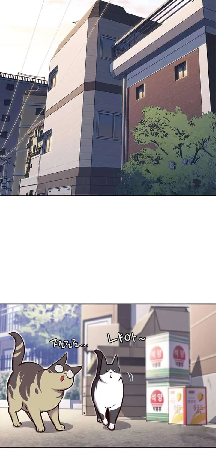 Read Eleceed chapter 117.1 image 8 on Lezhin