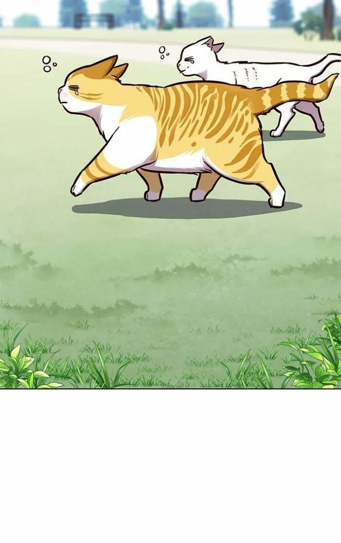 Read Eleceed chapter 150 image 3 on Lezhin