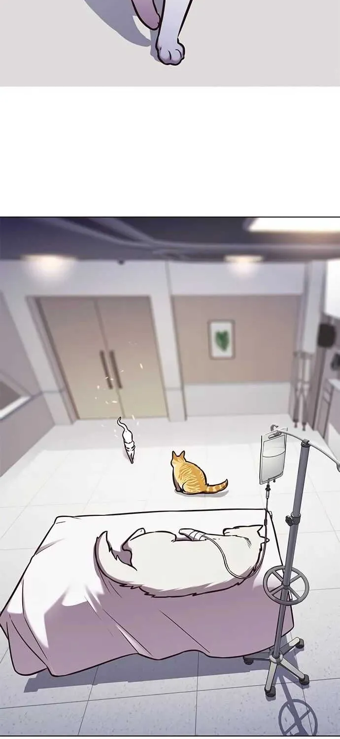 Read Eleceed chapter 166.1 image 8 on Lezhin