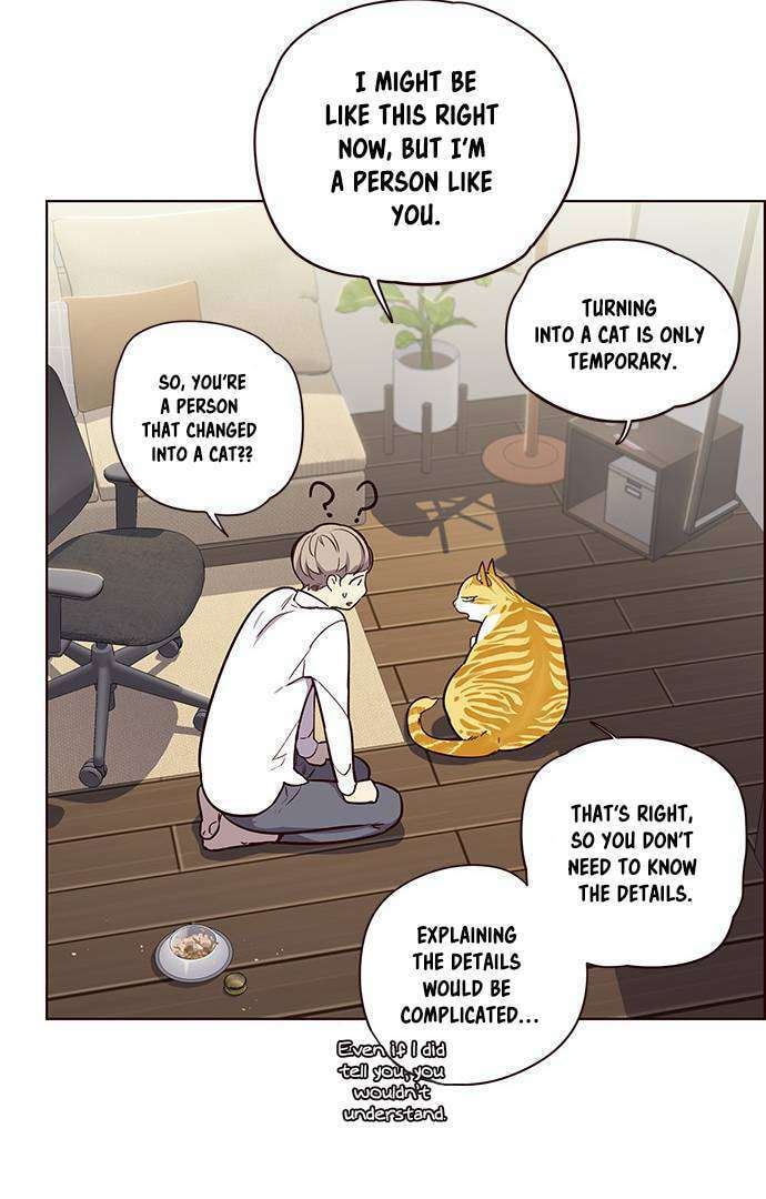Read Eleceed chapter 2.1 image 12 on Lezhin