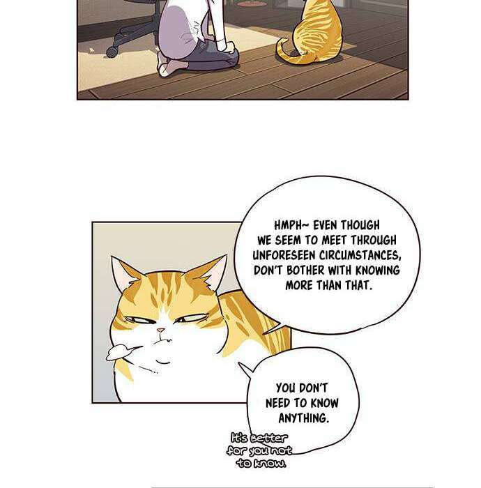 Read Eleceed chapter 2.1 image 15 on Lezhin