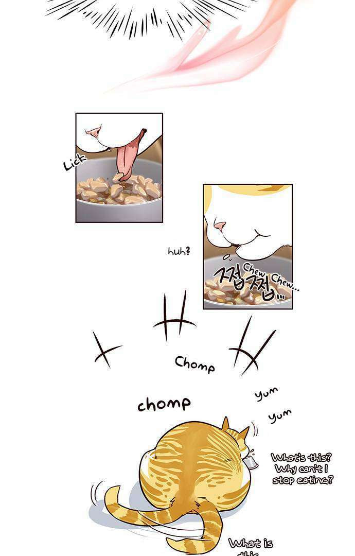 Read Eleceed chapter 2.1 image 21 on Lezhin
