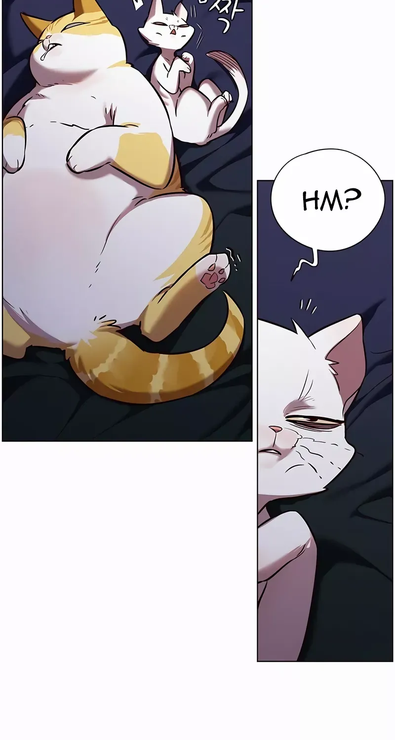 Read Eleceed chapter 246.1 image 78 on Lezhin