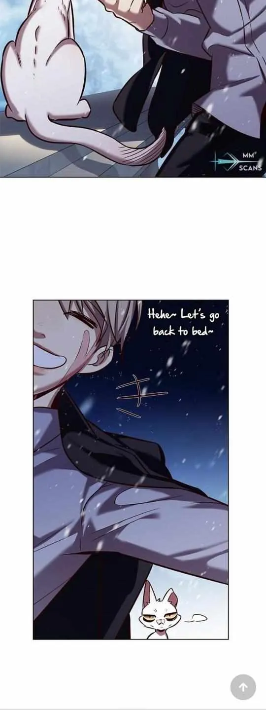 Read Eleceed chapter 246.5 image 11 on Lezhin