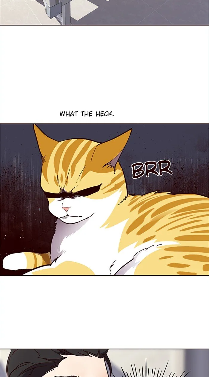 Read Eleceed chapter 28.2 image 49 on Lezhin