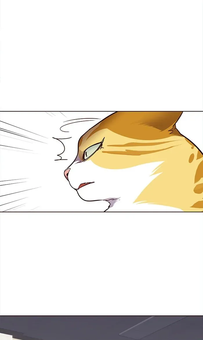 Read Eleceed chapter 28.3 image 20 on Lezhin