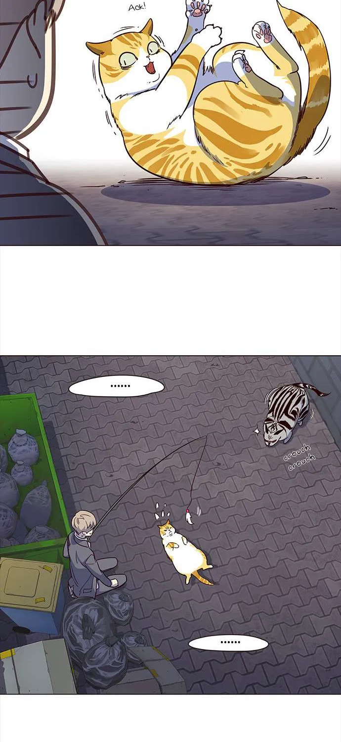 Read Eleceed chapter 3.1 image 10 on Lezhin