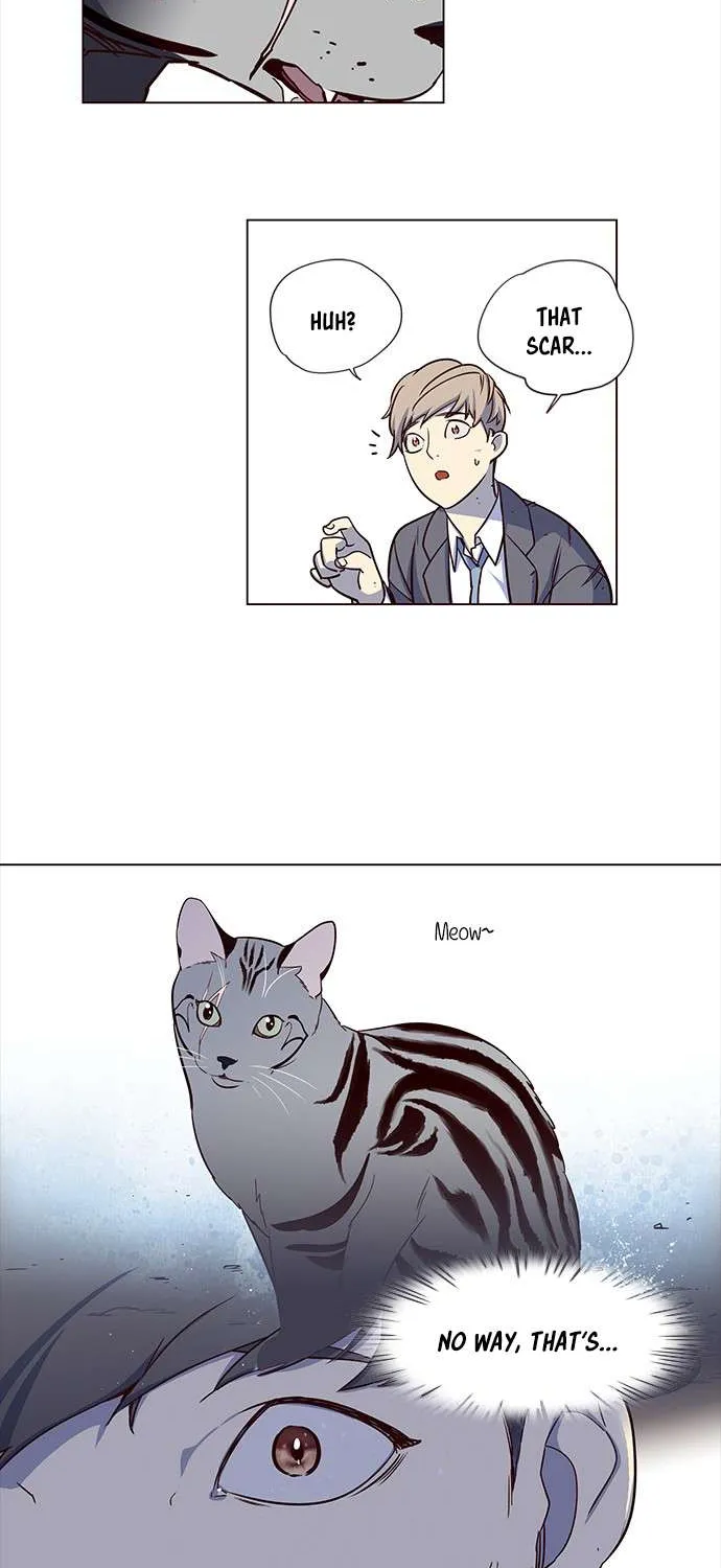 Read Eleceed chapter 3.1 image 15 on Lezhin
