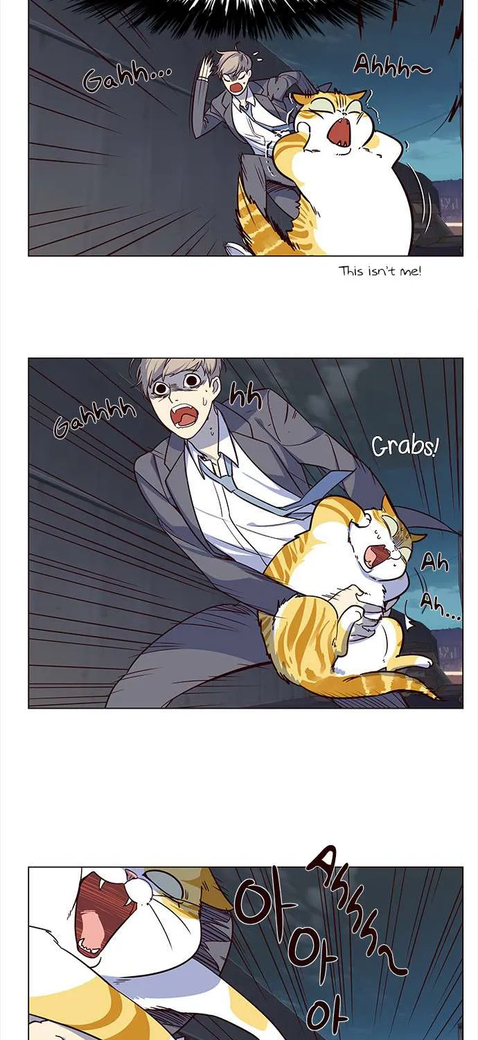 Read Eleceed chapter 3.1 image 19 on Lezhin