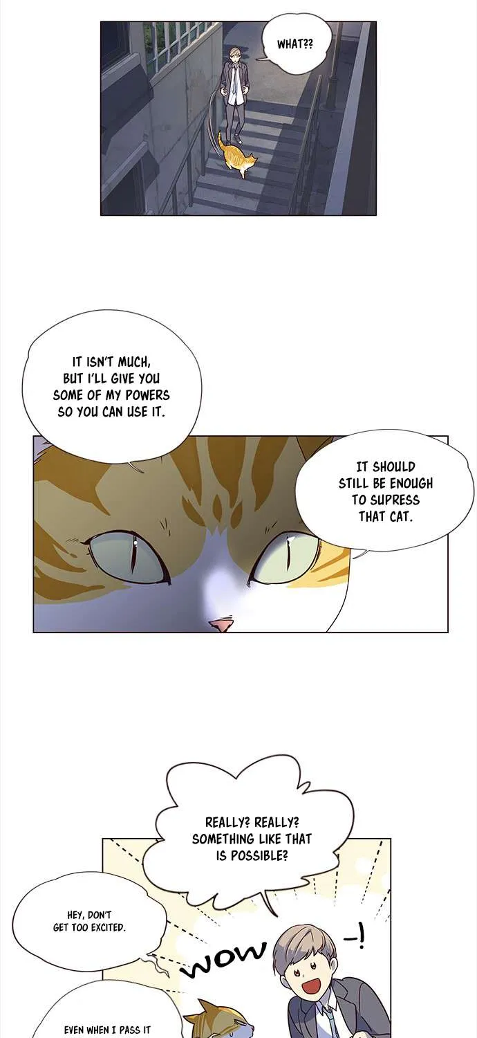 Read Eleceed chapter 3.1 image 34 on Lezhin