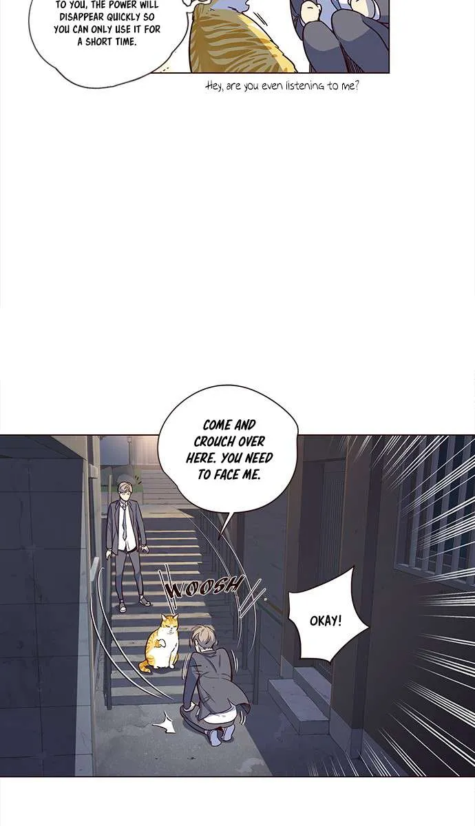 Read Eleceed chapter 3.1 image 35 on Lezhin