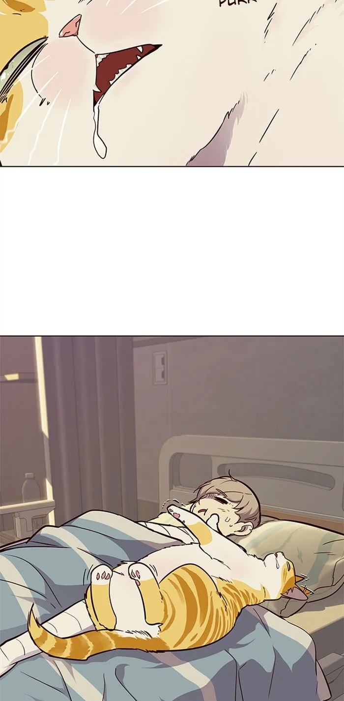 Read Eleceed chapter 30.1 image 80 on Lezhin