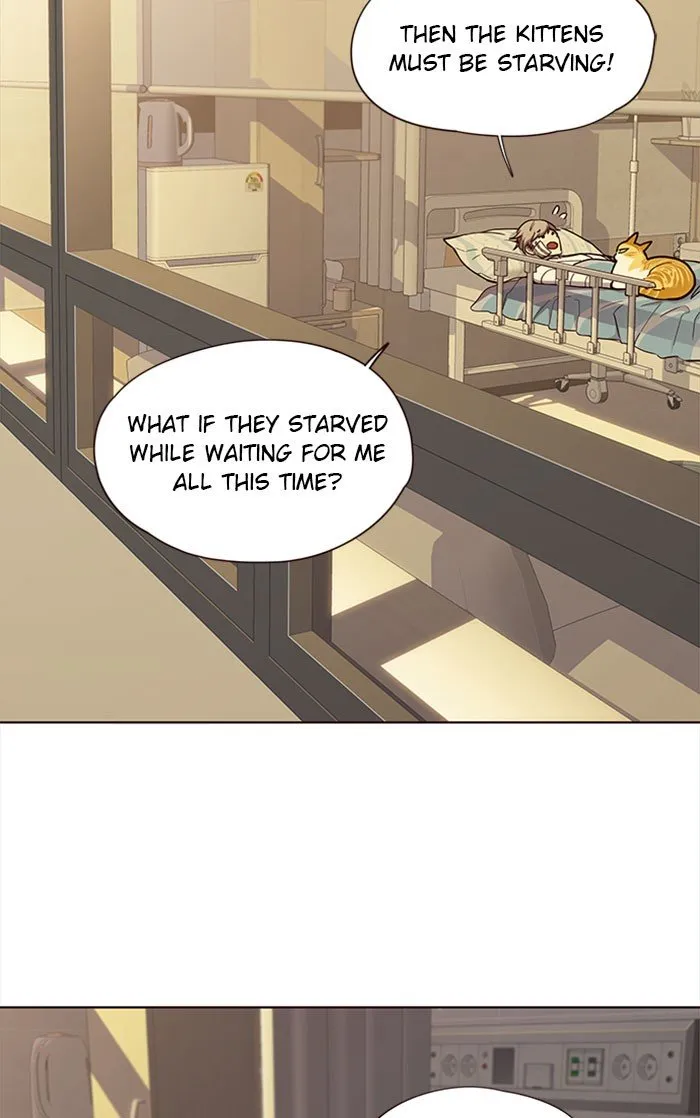 Read Eleceed chapter 30.2 image 6 on Lezhin