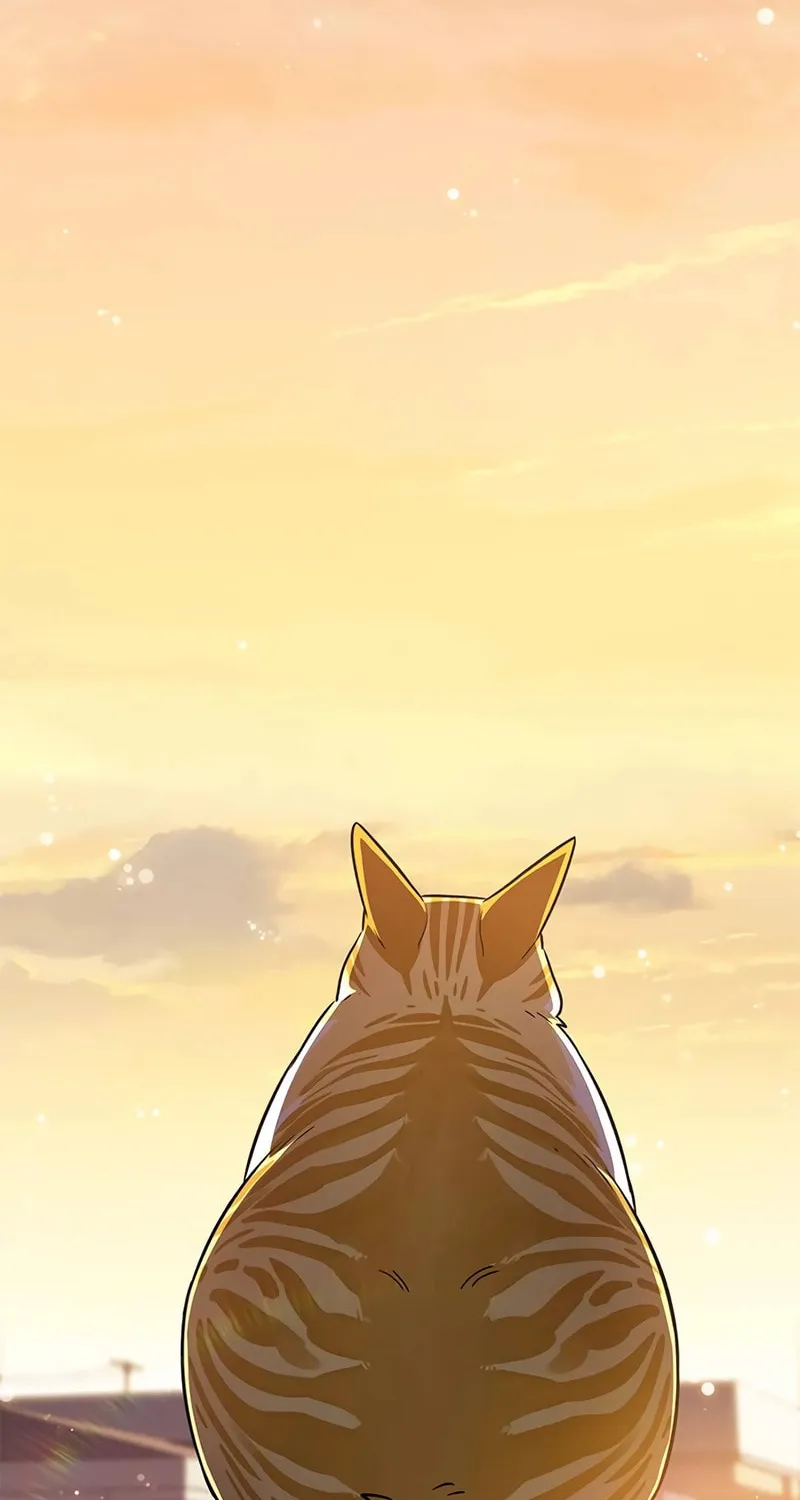Read Eleceed chapter 336 image 107 on Lezhin