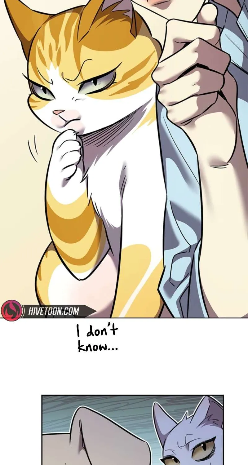 Read Eleceed chapter 370 image 71 on Lezhin