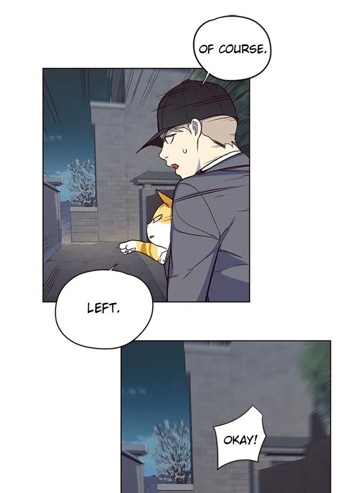Read Eleceed chapter 5.1 image 12 on Lezhin