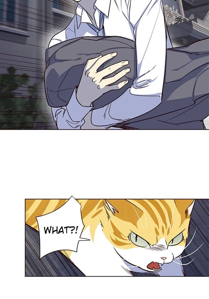 Read Eleceed chapter 5.1 image 135 on Lezhin