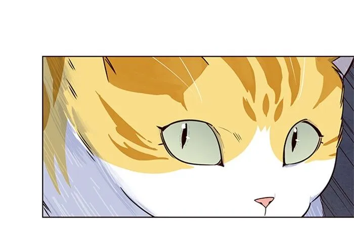 Read Eleceed chapter 5.1 image 137 on Lezhin