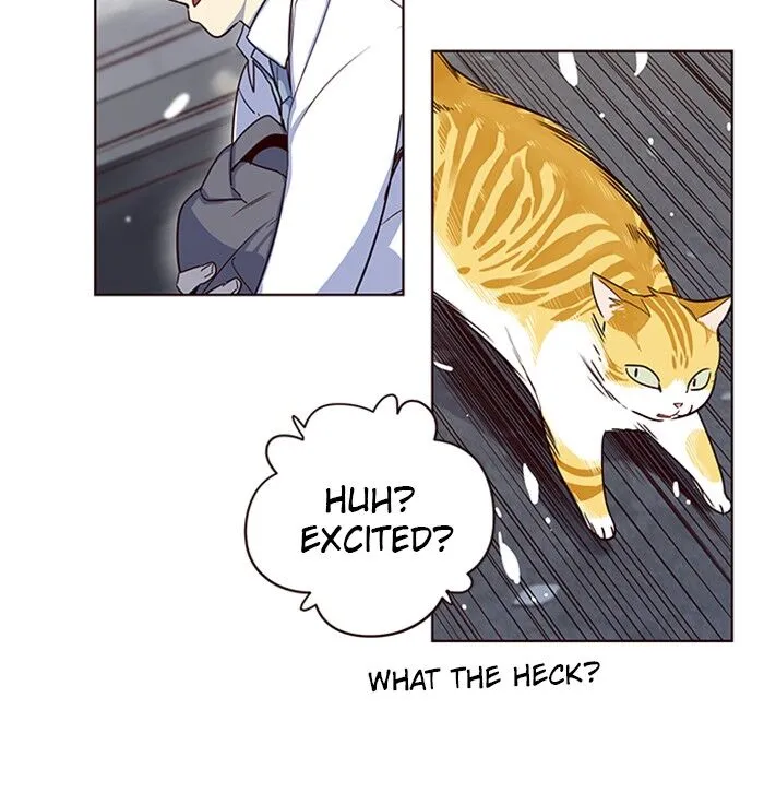 Read Eleceed chapter 5.1 image 143 on Lezhin