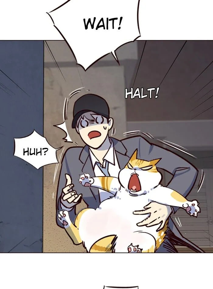 Read Eleceed chapter 5.1 image 41 on Lezhin