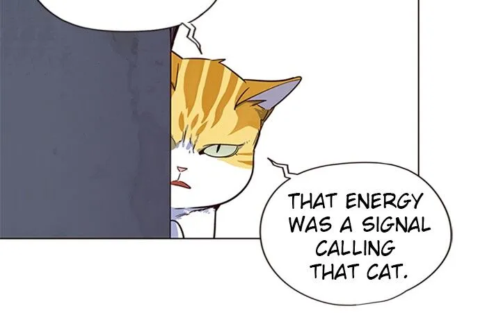 Read Eleceed chapter 5.1 image 47 on Lezhin