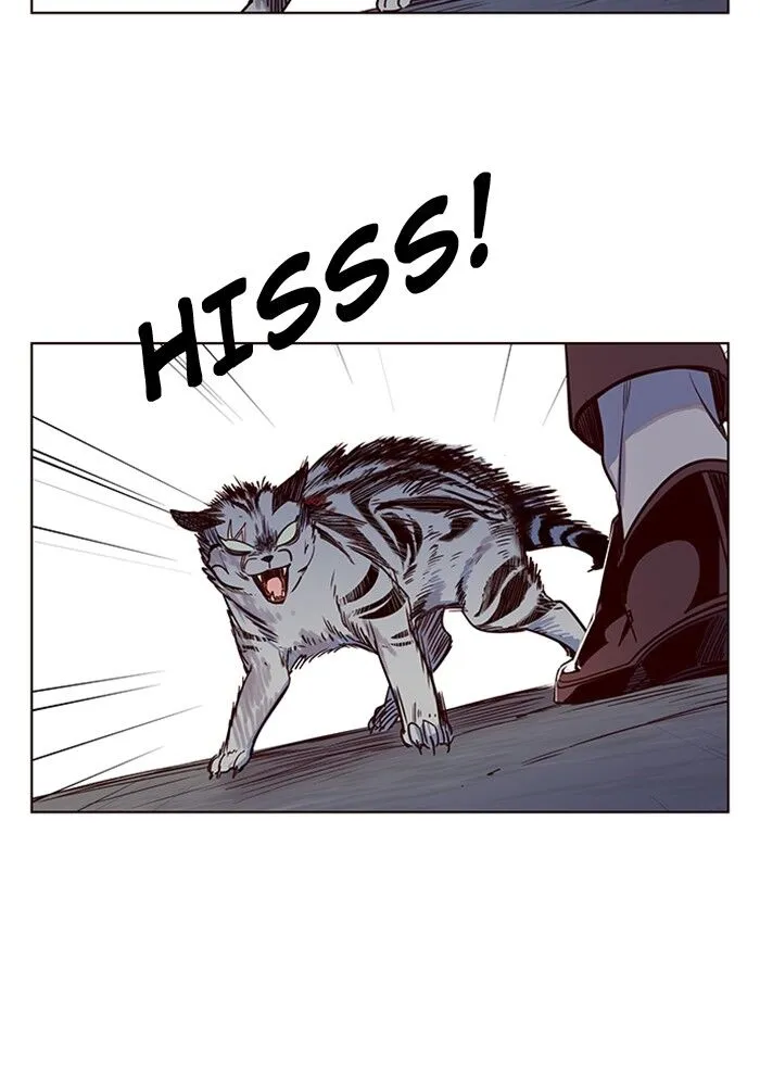 Read Eleceed chapter 5.1 image 88 on Lezhin