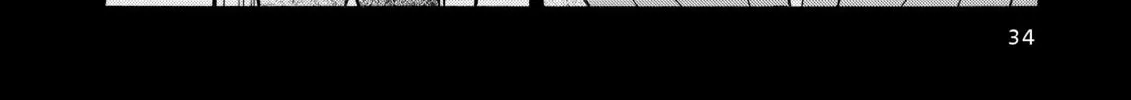 Read Elfen Lied chapter 29 image 27 on Lezhin