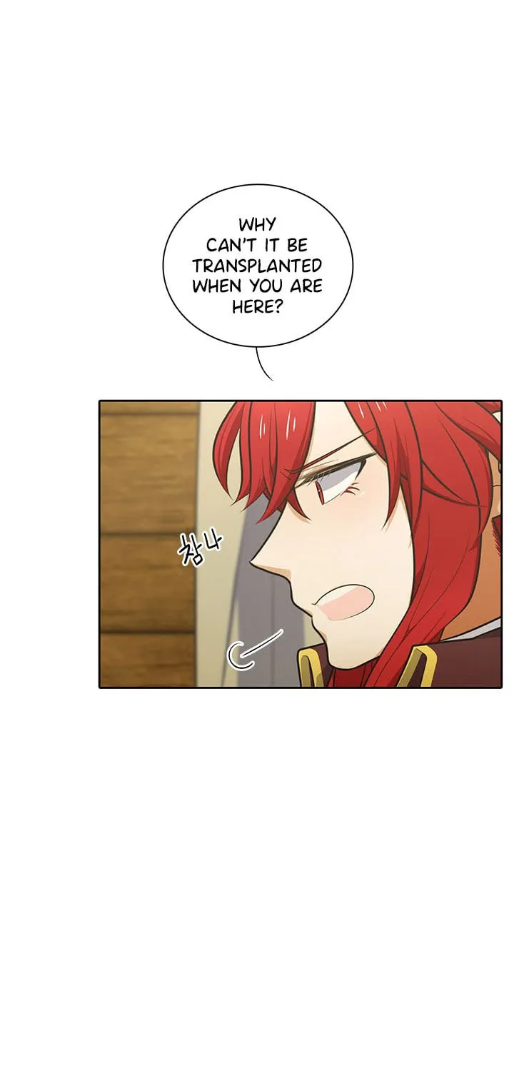 Read Elqueeness chapter 158 image 59 on Lezhin