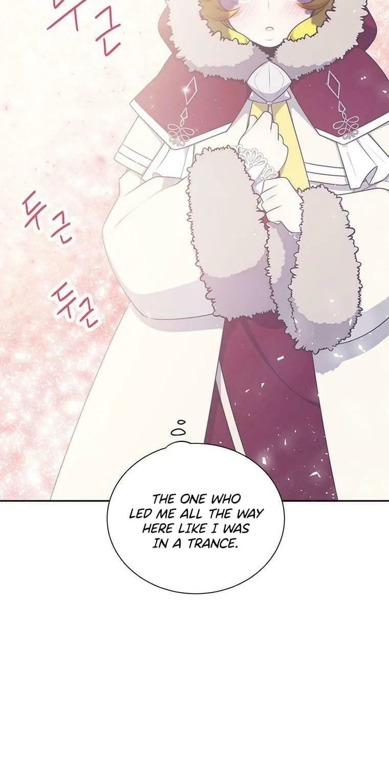 Read Elqueeness chapter 205 image 61 on Lezhin